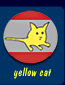 yellow cat